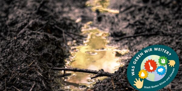 Boden WAsser mit visual