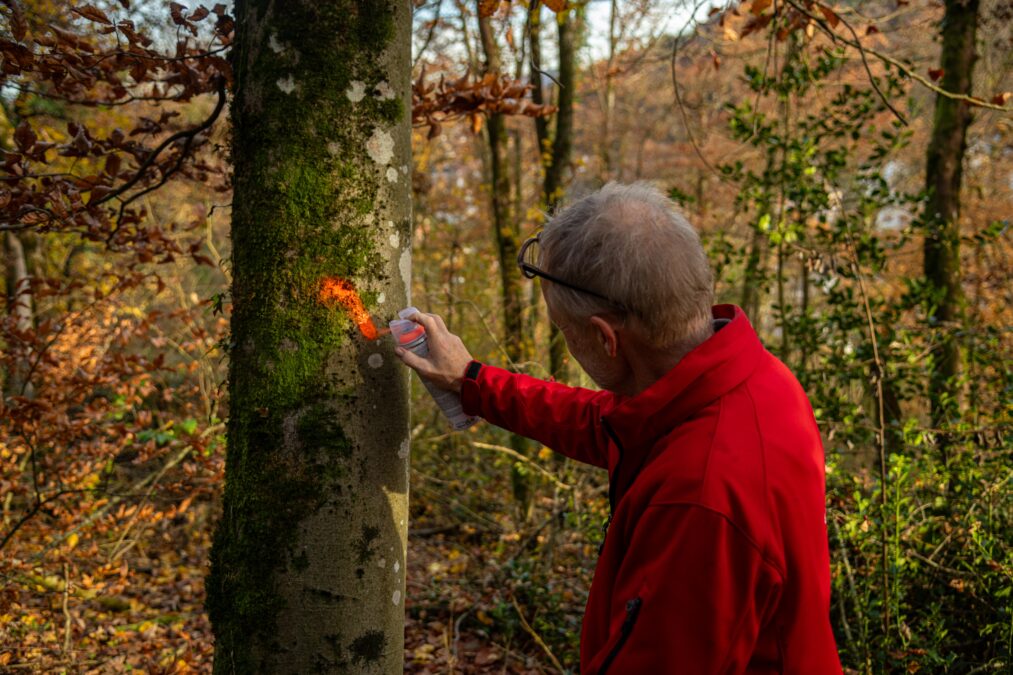 Stadtforstamt Baden Contentday 1 2025 Avarel 243