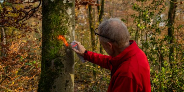 Stadtforstamt Baden Contentday 1 2025 Avarel 243